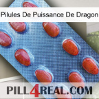 Dragon Power Pills 06